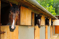 free The Downs stable construction quotes